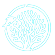 Reef VMS Logo